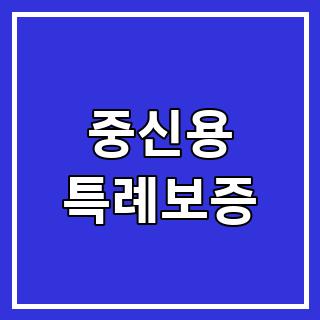 중신용 특례보증