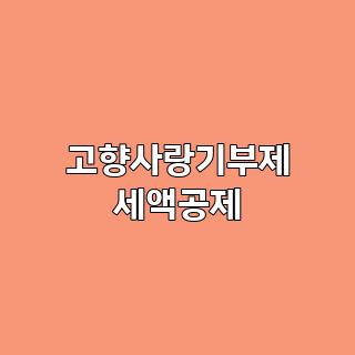 고향사랑기부제 세액공제