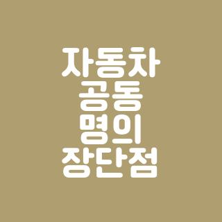 자동차 공동 명의 장단점