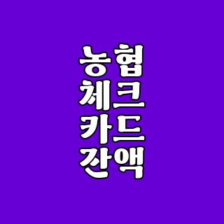 농협 체크 카드 잔액