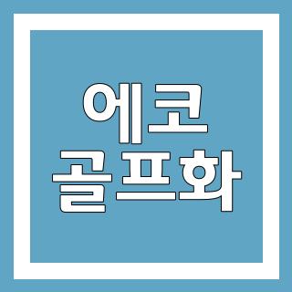 에코 골프화