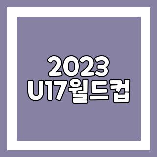 2023 U17월드컵