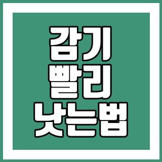 감기 빨리 낫는법