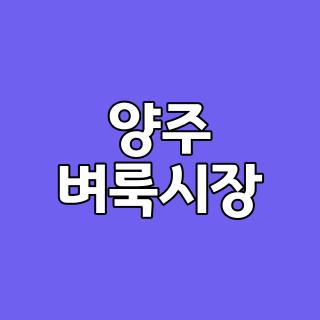 양주 벼룩시장